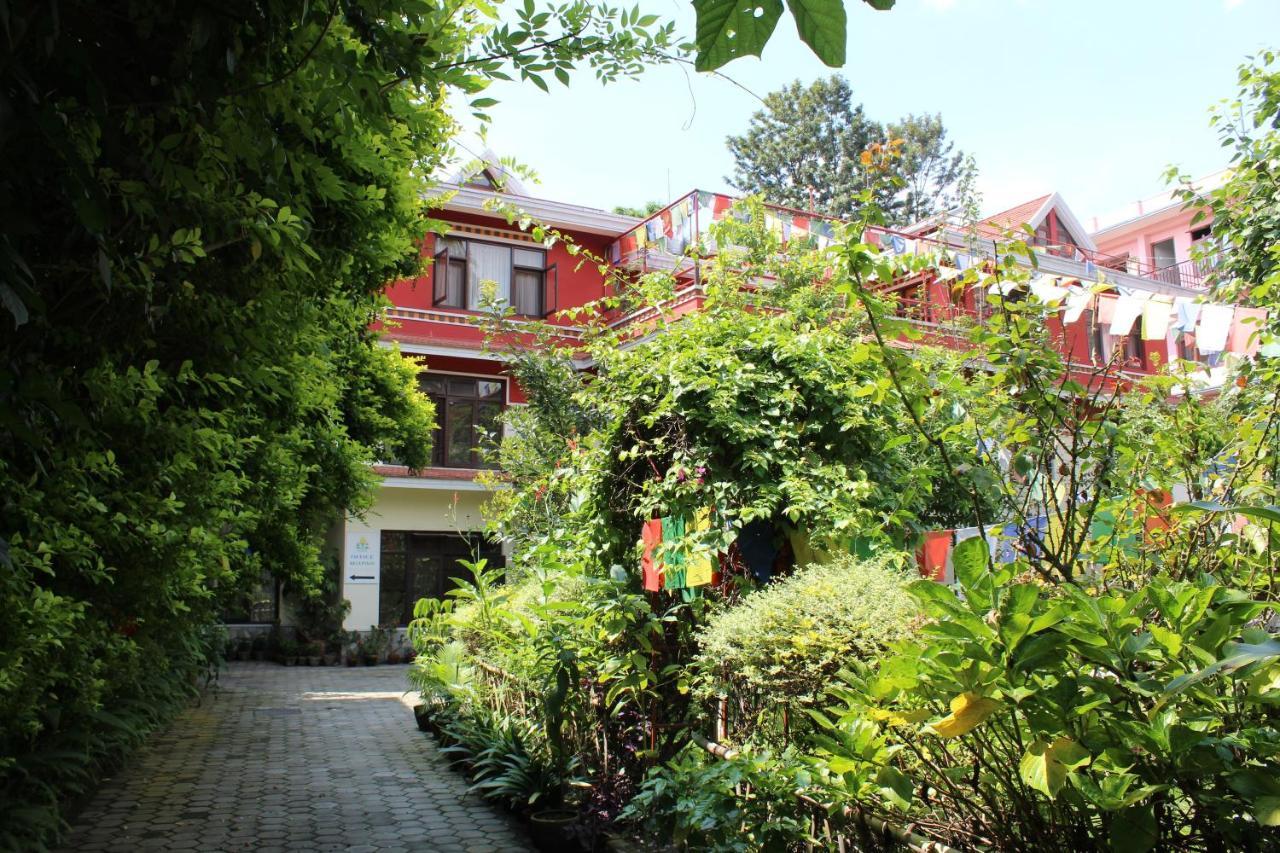 Rokpa Guest House Káthmándú Exteriér fotografie